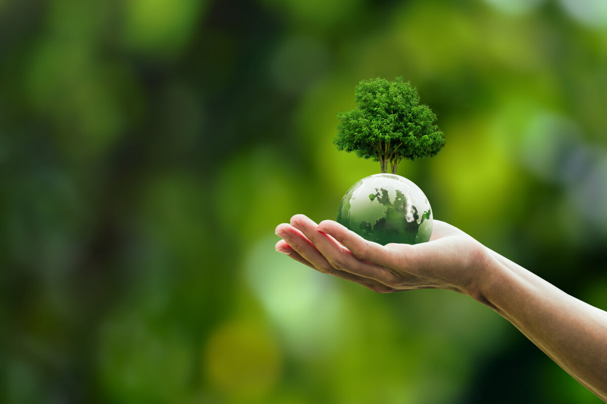 Brasilcap está engajada na proteção ao Meio Ambiente