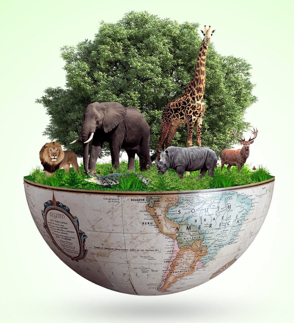 PROTEJA O PLANETA: DIA INTERNACIONAL DA BIODIVERSIDADE